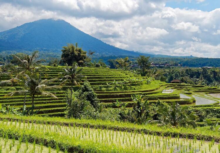 Tabanan 