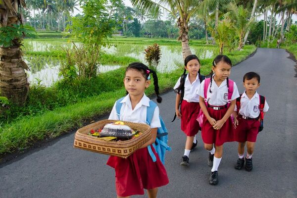 Help through education