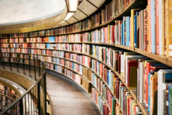 Top educational institutions in Dubai: kindergartens, schools and universities