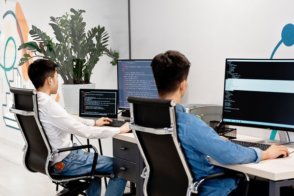 Residence permit for IT Specialists in Georgia