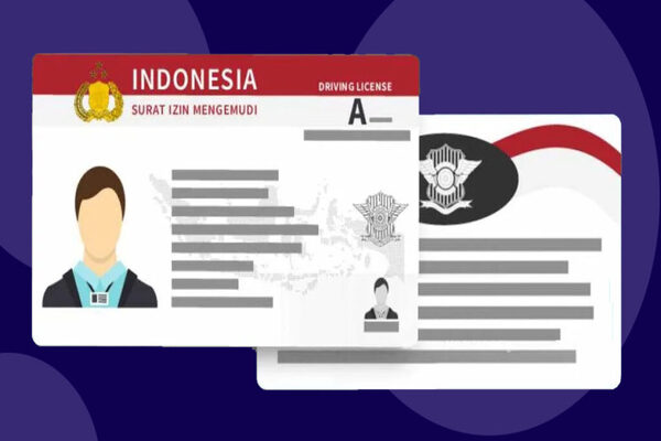 Digital Driver’s Licenses